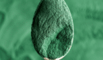 Spiruline
