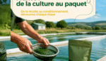 Comment est produite la spiruline bio en France : de la culture au paquet