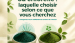 Spiruline bio ou chlorelle : laquelle choisir selon ce que vous cherchez