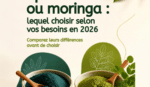 Spiruline bio ou moringa : lequel choisir selon vos besoins en 2026